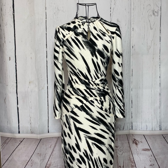 Cache Zebra Dress - Picture 4 of 10